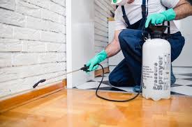 Real Estate Pest Inspections in Anniston, AL